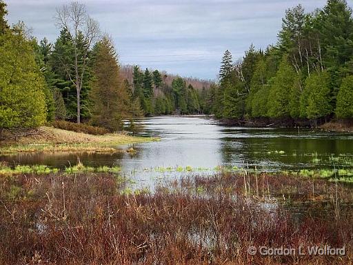 Bolton Creek_DSCF01520.jpg - Photographed near Maberly, Ontario, Canada.